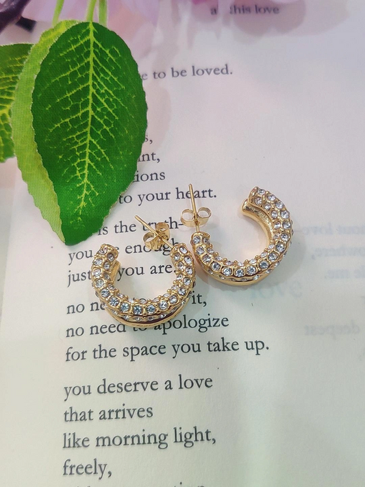 Anti Tarnish Earrings #AE012